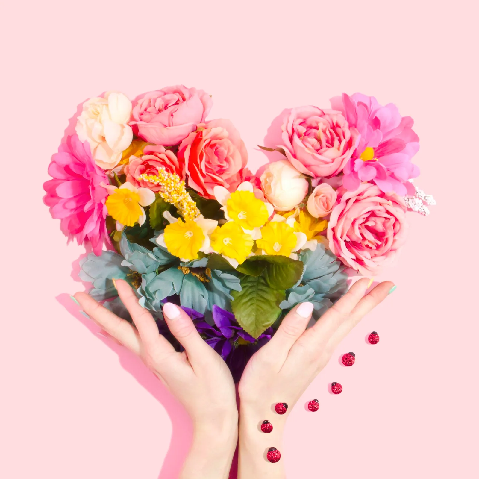 Contact Blossoms and Bloom