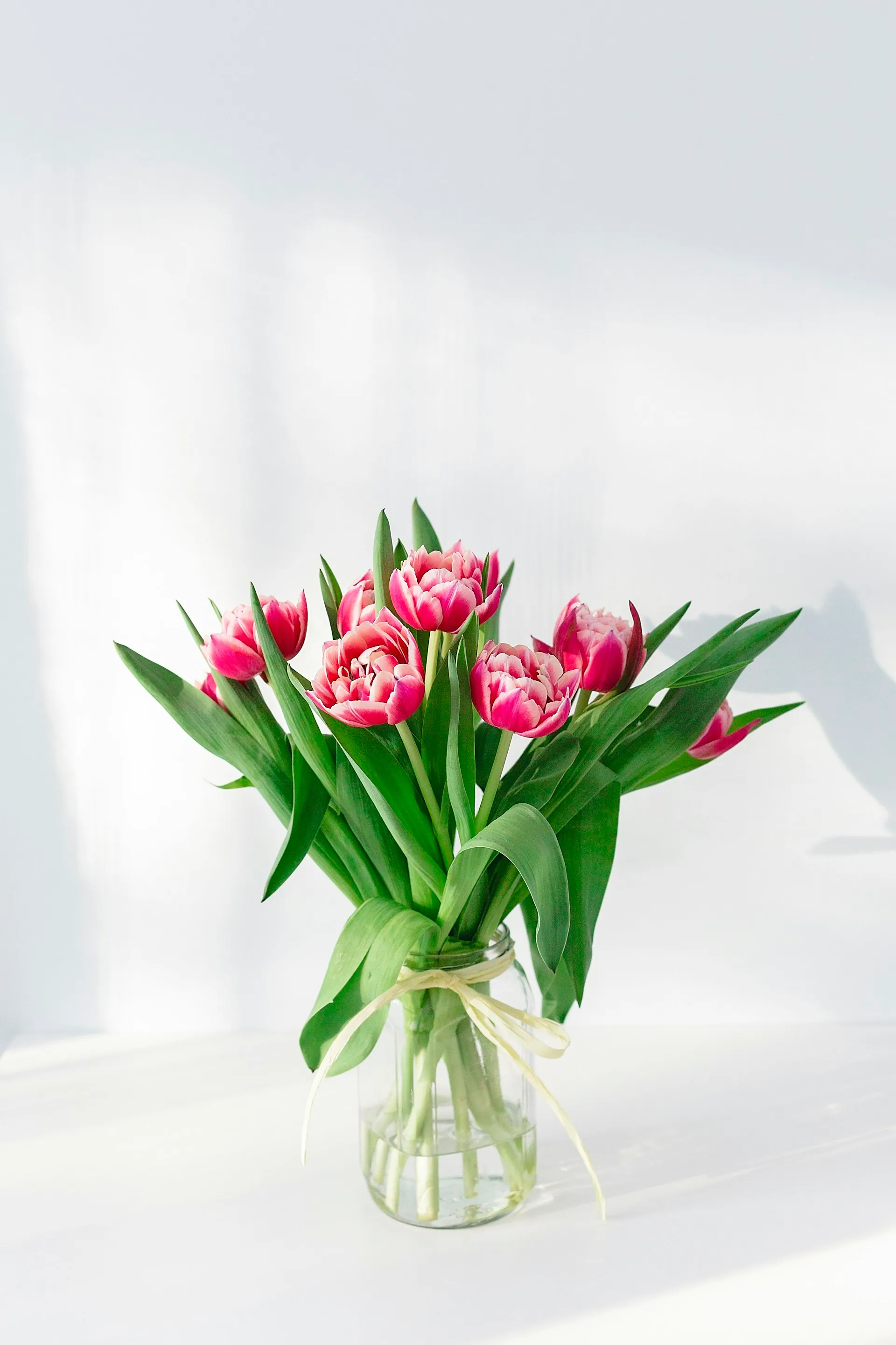 Red roses